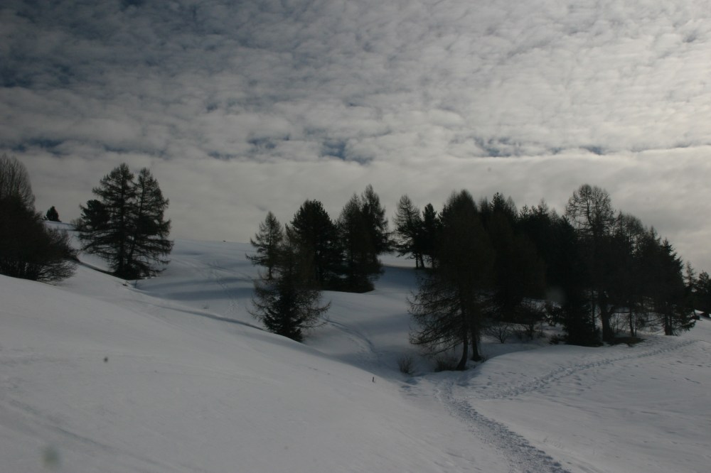 L’IMPORTANZA DEL FREDDO INVERNALE