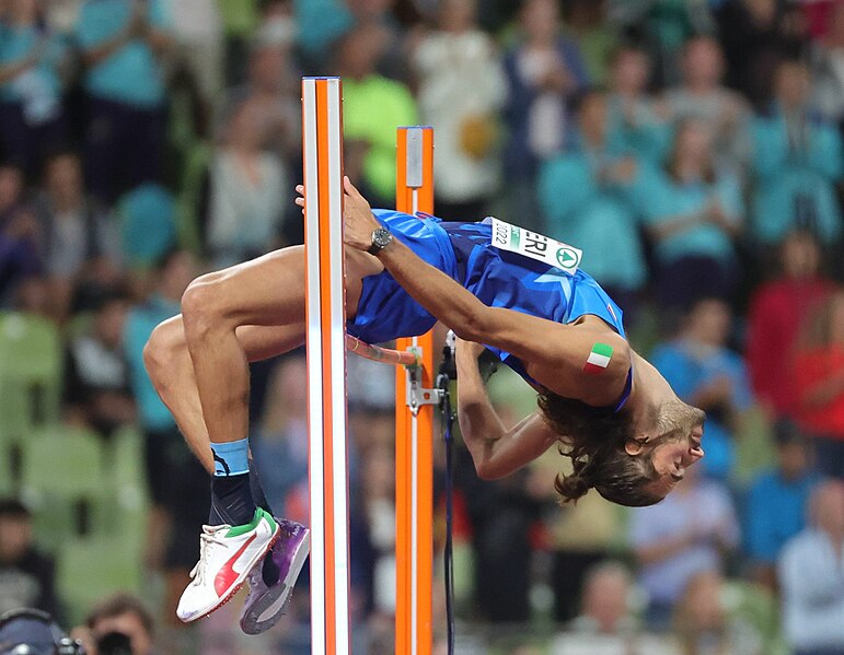 DA GIANMARCO TAMBERI AI CAMPIONI ANIMALI, CHI VINCERÀ LA GARA?